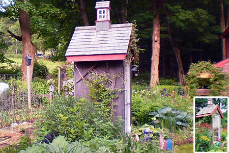 shed_x_0