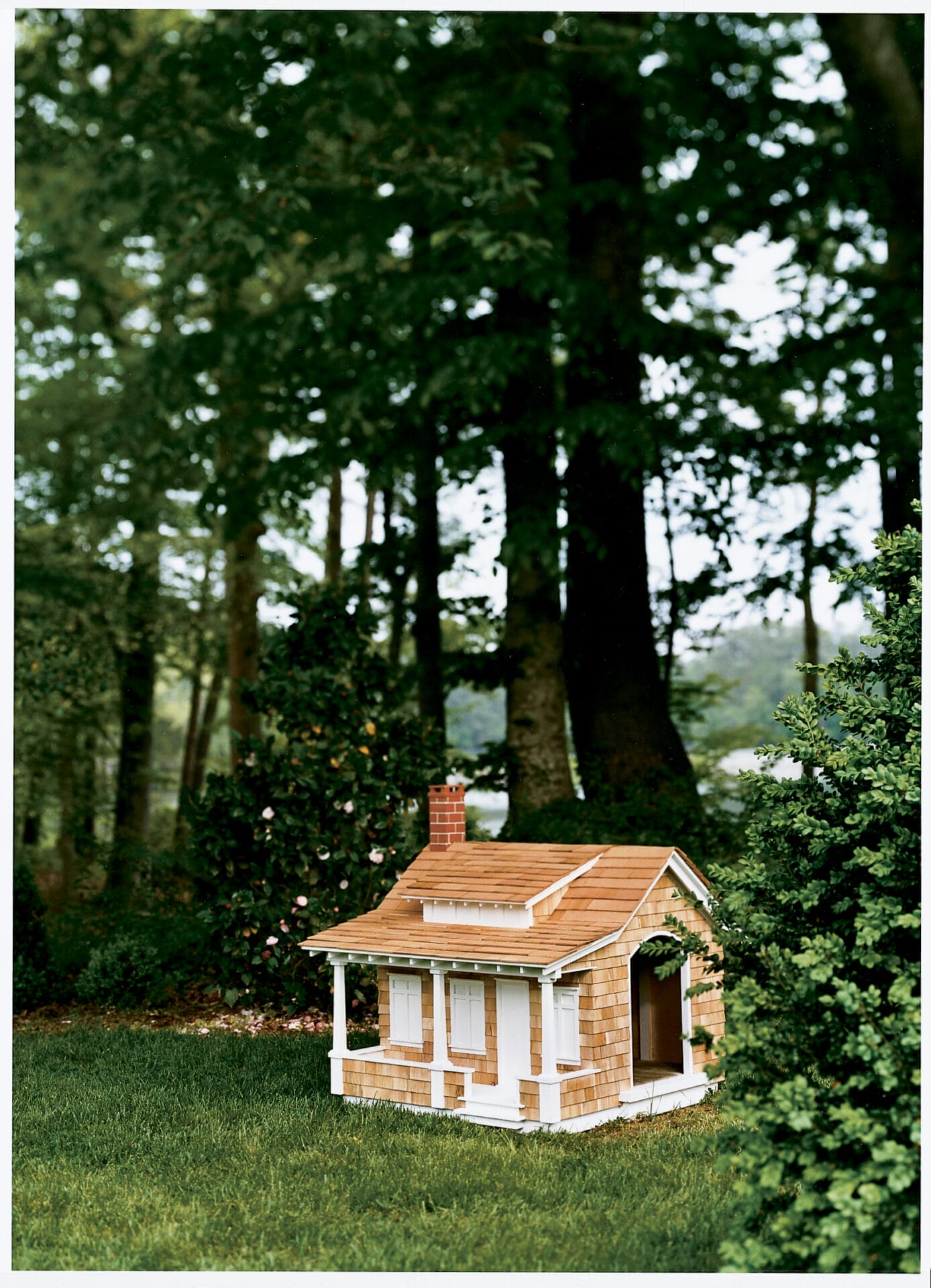 2005_07_h0705doghouse_05