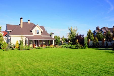 lawn_QA_x