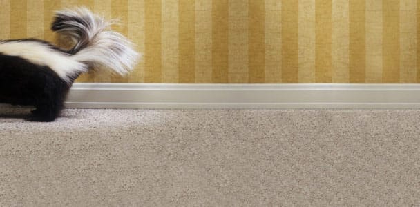 How To Get Rid of Bad Smells the Safe Way