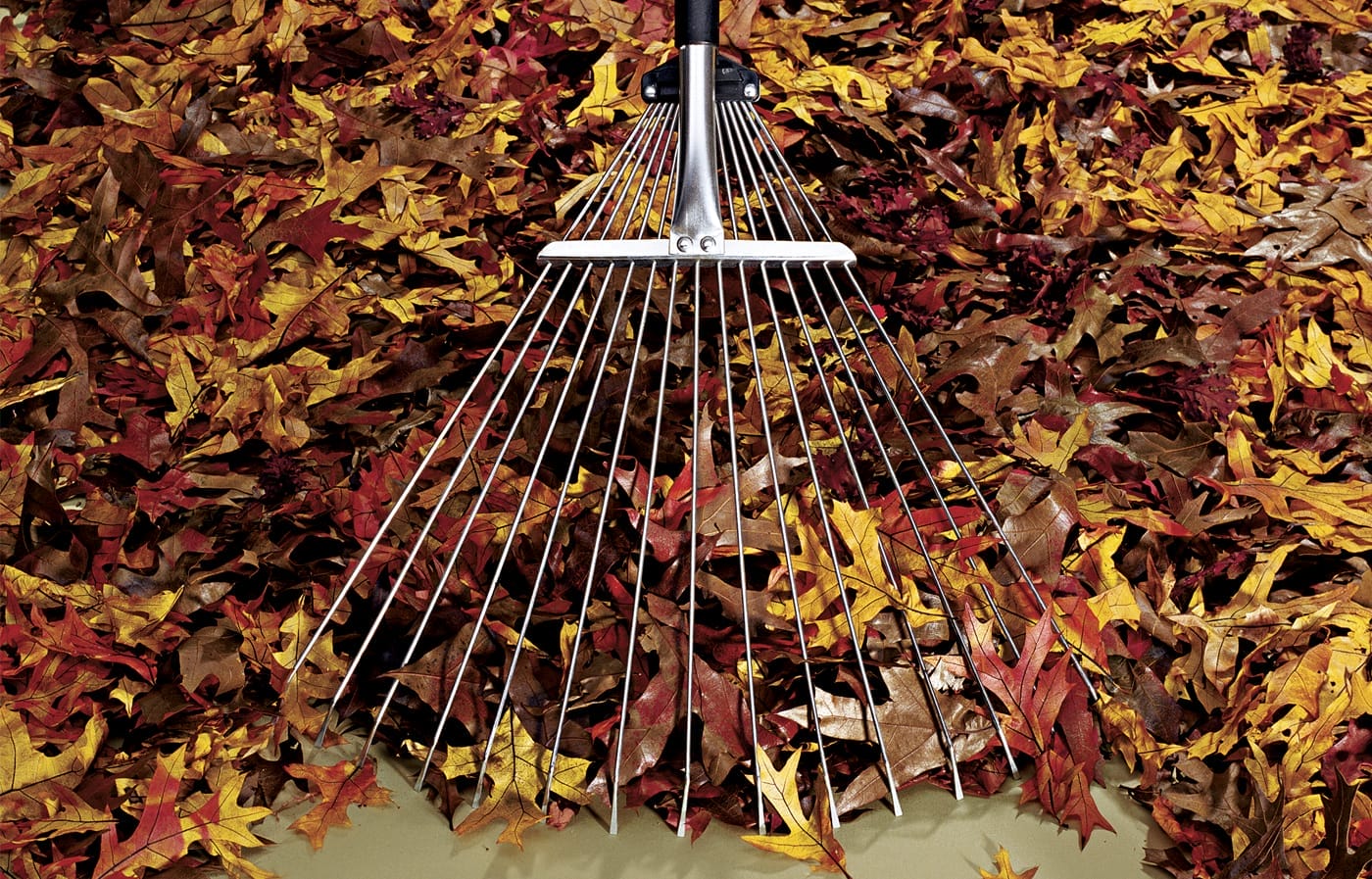 rake_x