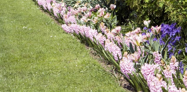 summer_blooming_xl