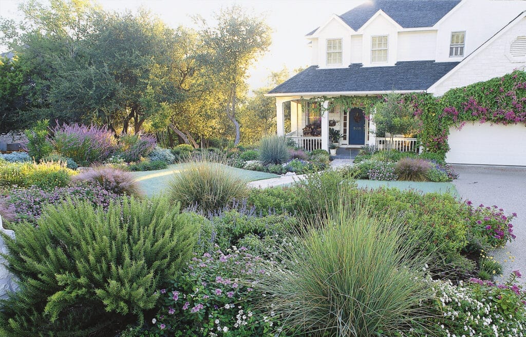 House with a lawn-less front yard design