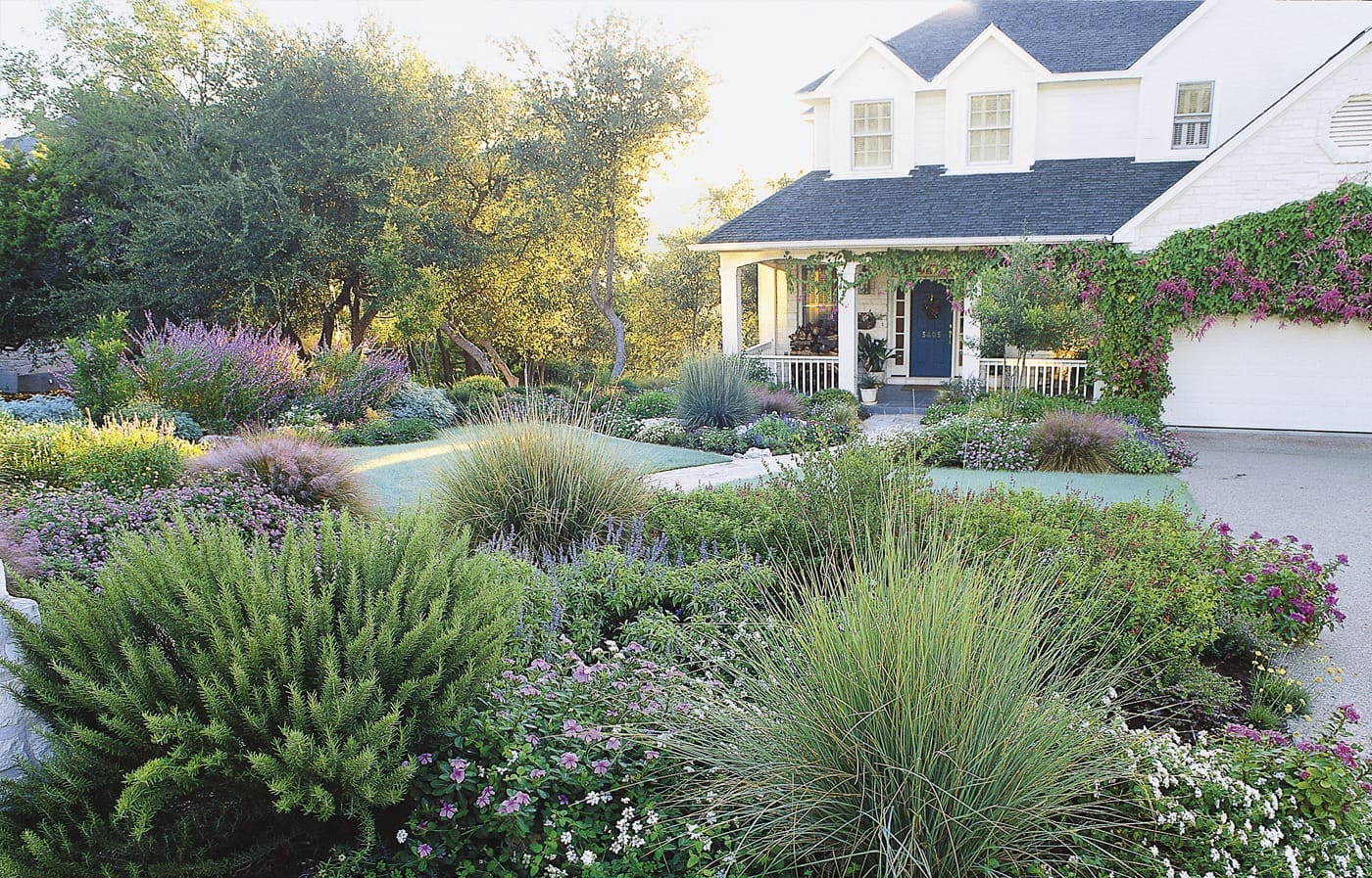 House with a lawn-less front yard design