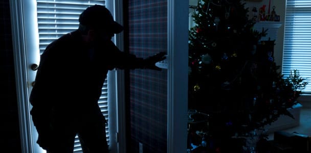 holiday_security_xl
