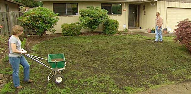 A woman pushing a wheelbarrow across a patchy lawn.
