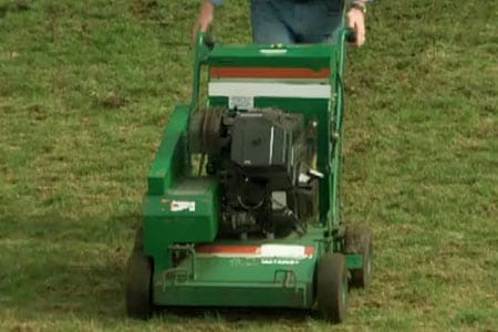 reseed_lawn_x