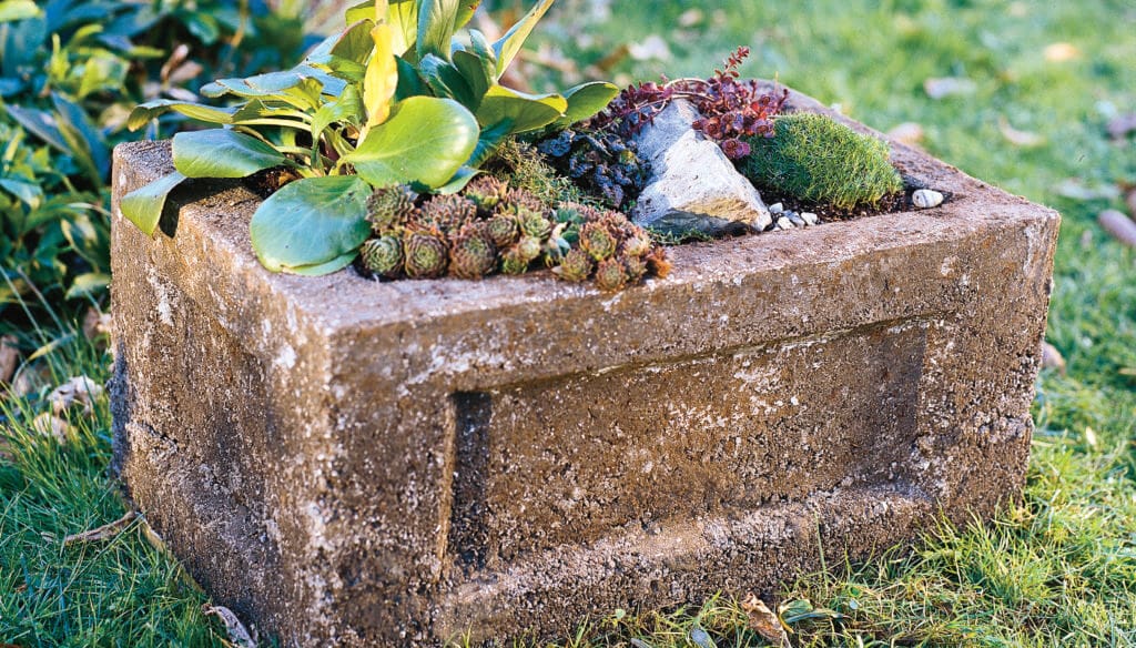 A hypertufa garden trough.