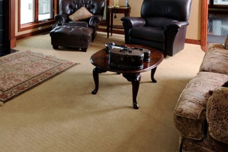 carpeting_stairs_x