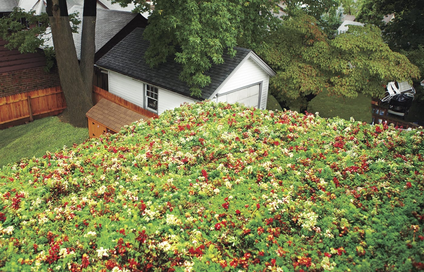 green_roof_x
