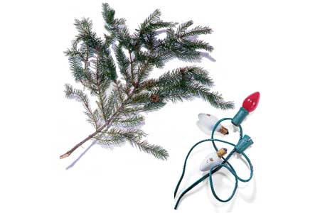 Image of Christmas lights near a Christmas tree branch.