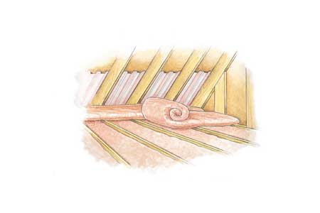 attic_insulation_x