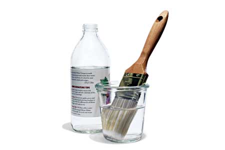 nontoxic_cleaner_x