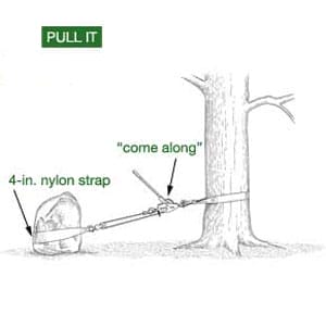 Illustration of using a nylon strap attached to a tree to move a large rock.