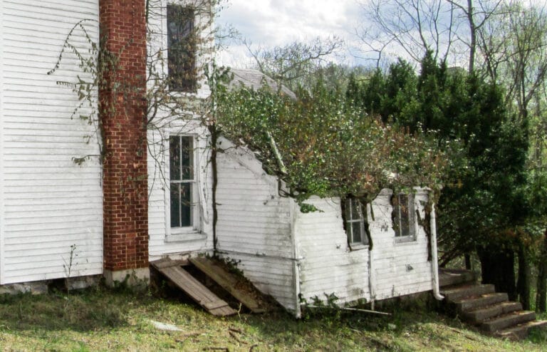 An addition to the house being overgrown with plants.