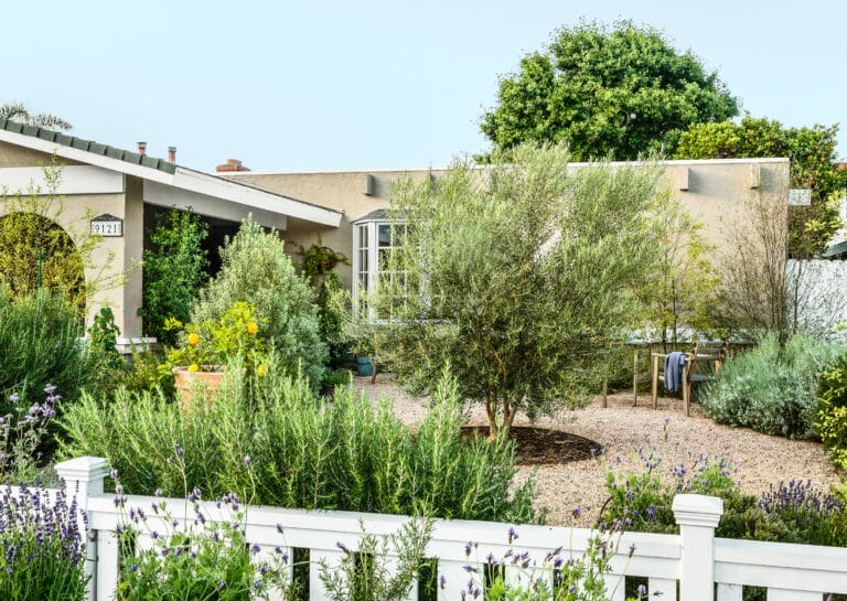 front_yard