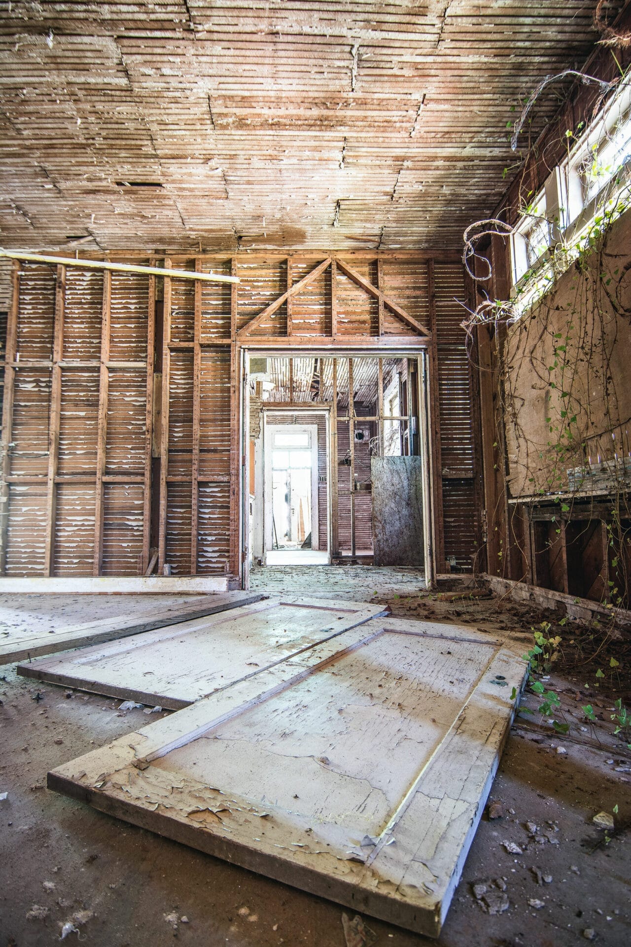 A view of the interior of the house.