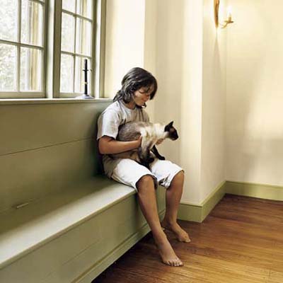 A young boy and his cat on a dining room window seat