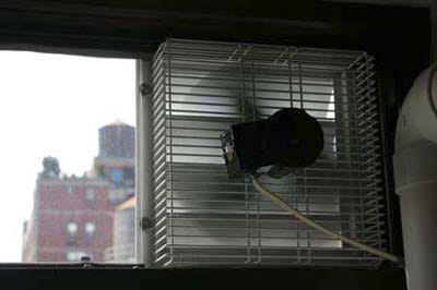 A greenhouse fan used for kitchen ventilation