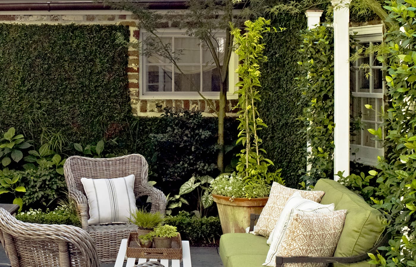 Patio with the walls covered in climbing plants. 