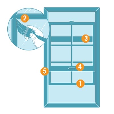 A graphic showing how to paint a double-hung window