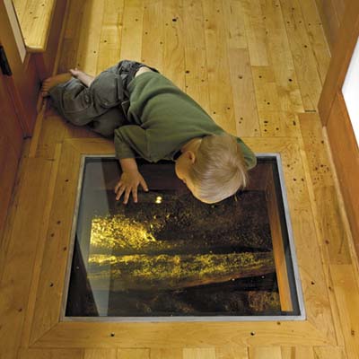 A plexiglass window in the floor