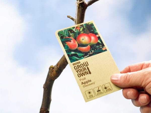 a tag for an apple tree