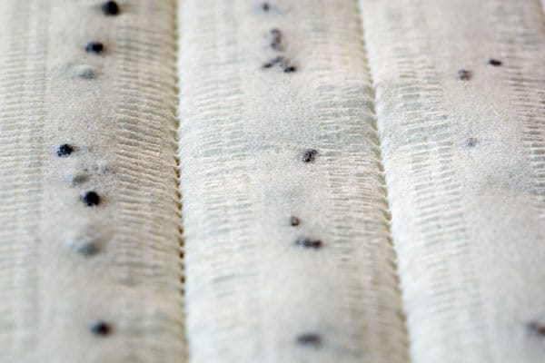 Vegetable seeds