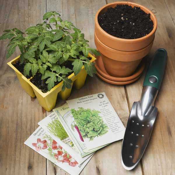 Vegetable sprouts, seeds, shovel, and a pot with dirt.