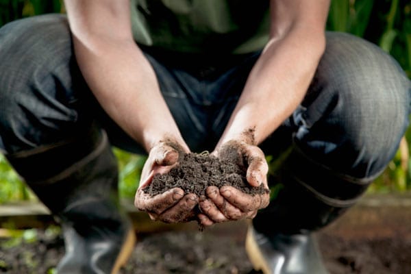 A person holds dirt from a garden.