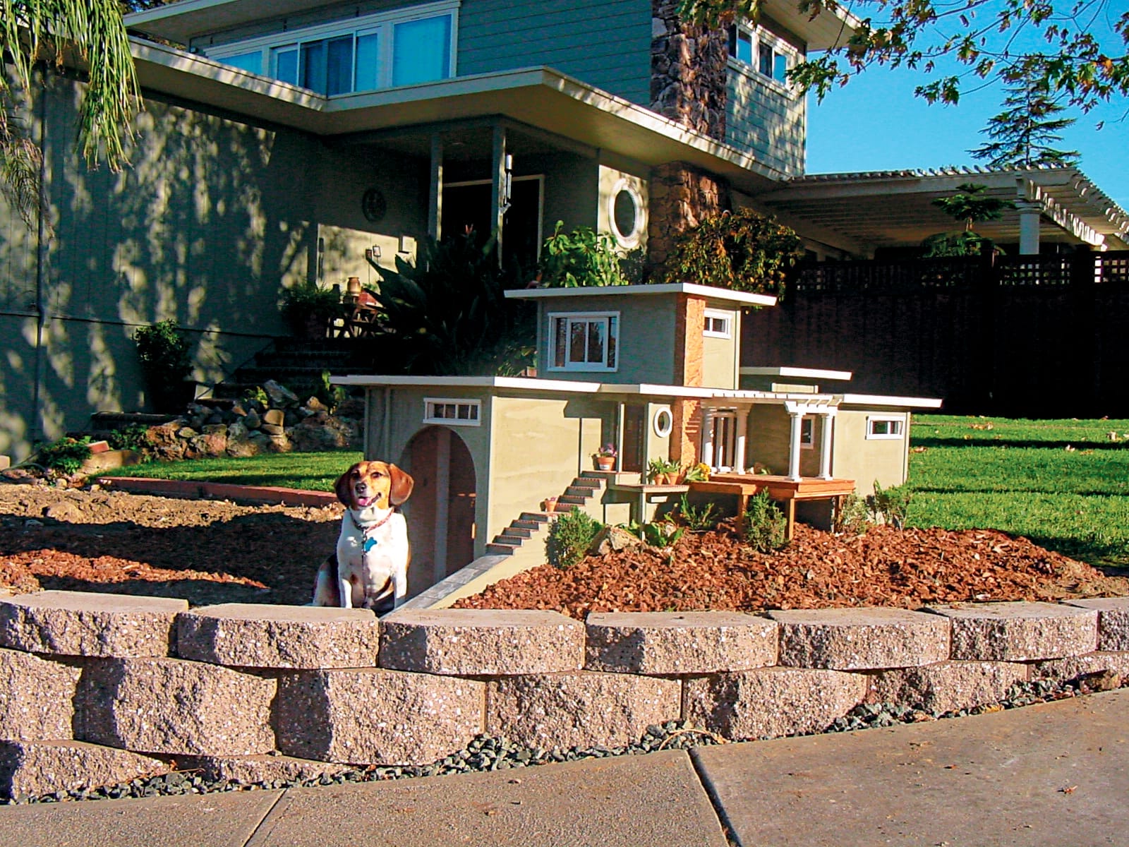 Modern flat-roofed dog house matching full-size contemporary home design.
