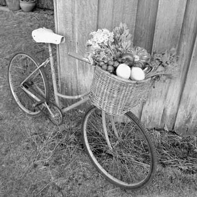 A bicycle with a basket full of vegetables