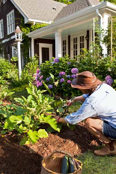 A woman working in a vegetable garden.