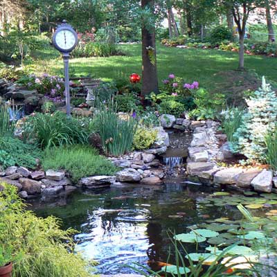 08_reader_ponds