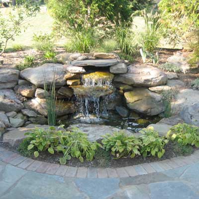 06_reader_ponds
