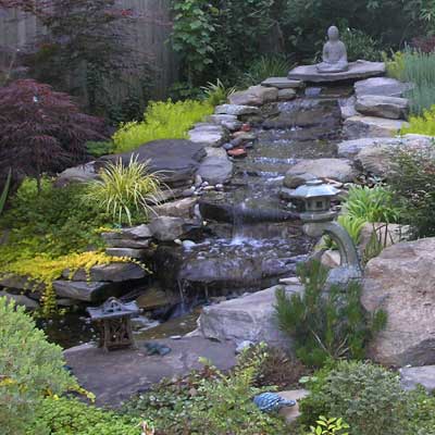 05_reader_ponds