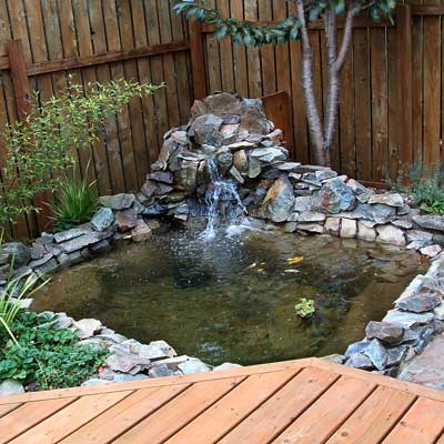04_reader_ponds