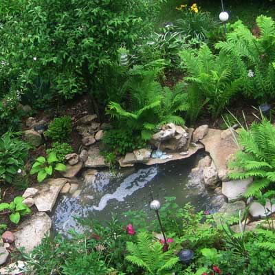 02_reader_ponds