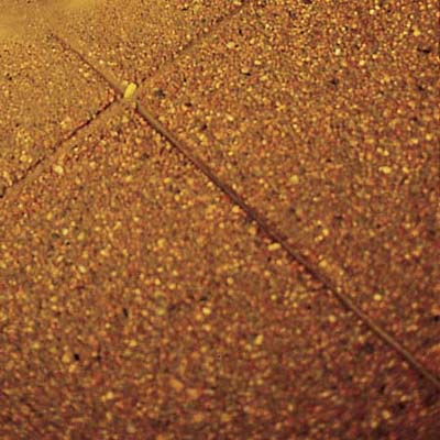 A driveway surface of exposed, aggregate concrete.