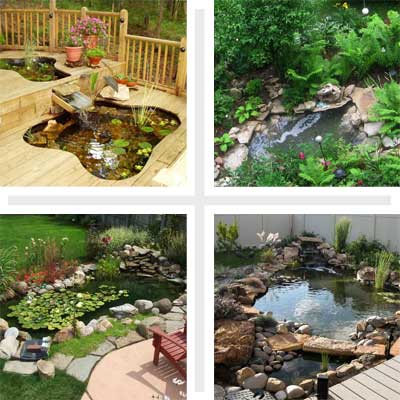 00_reader_ponds