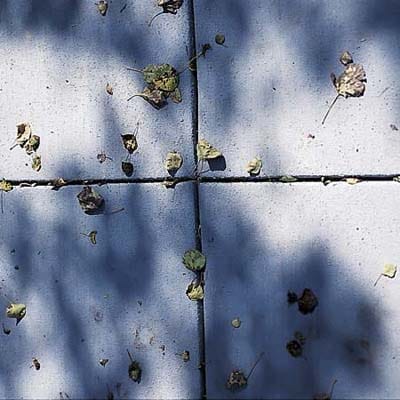 A concrete driveway surface