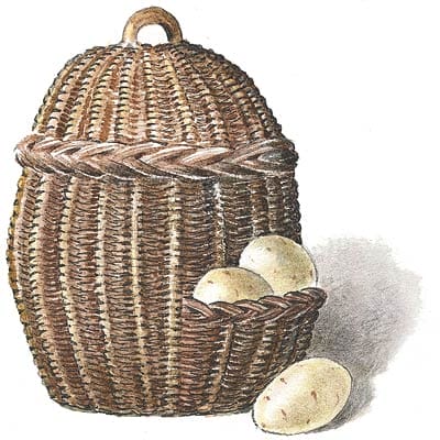 Root Veggie Basket