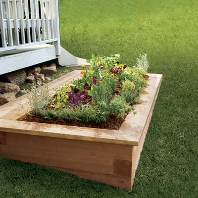 Raised garden bed with flowers and herbs growing in it.