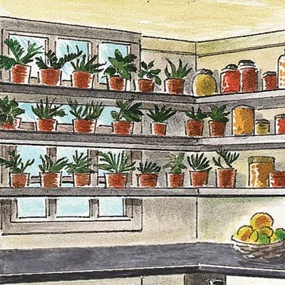Open Shelves