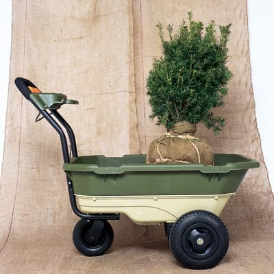 01_carts
