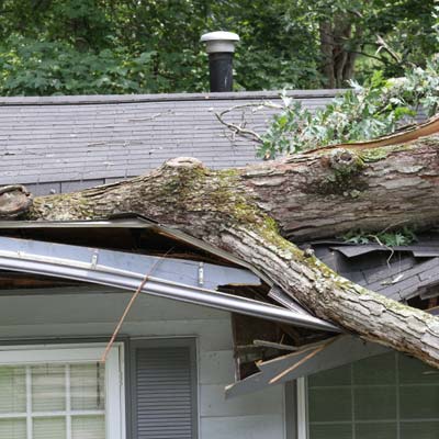 A tree that has fallen on a home.