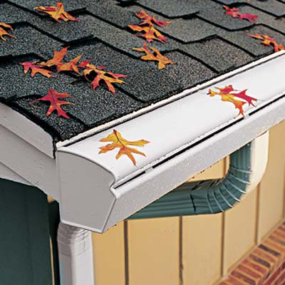 Leaves sitting on a white gutter on the roof of a house.