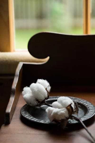 Homegrown cotton on a piece of furniture