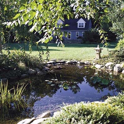 A wading pond in the yard of a home.