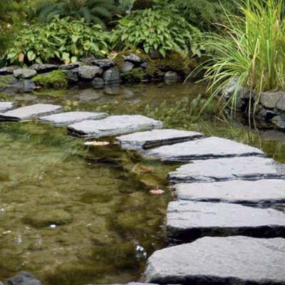 A pond with a stone walkway